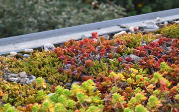 the cost of Two Mile Oak Cross green roof installation