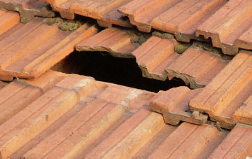roof repair Two Mile Oak Cross, Devon